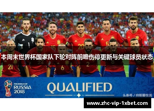 本周末世界杯国家队下轮对阵前瞻伤停更新与关键球员状态