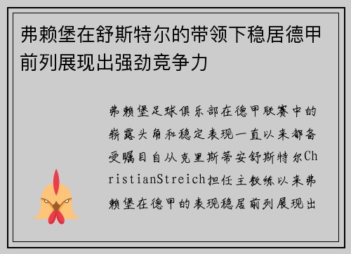 弗赖堡在舒斯特尔的带领下稳居德甲前列展现出强劲竞争力 弗赖堡在舒斯特尔的带领下稳居德甲前列展现出强劲竞争力