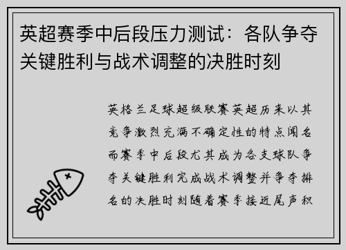 英超赛季中后段压力测试:各队争夺关键胜利与战术调整的决胜时刻 英超赛季中后段压力测试:各队争夺关键胜利与战术调整的决胜时刻